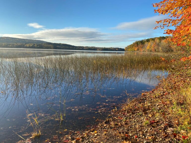 waterfront campgrounds in maine